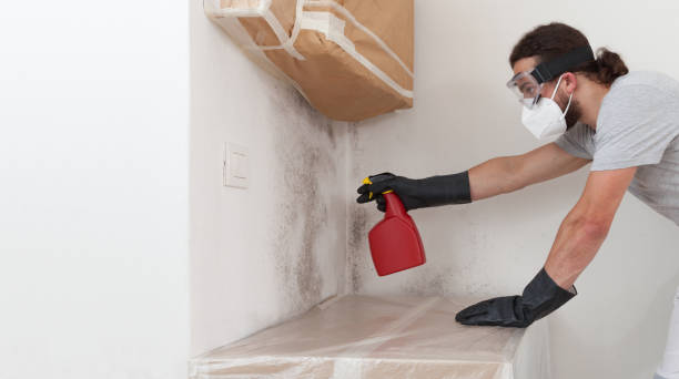 Professional Mold Cleanup technician working in Waynesboro, TN